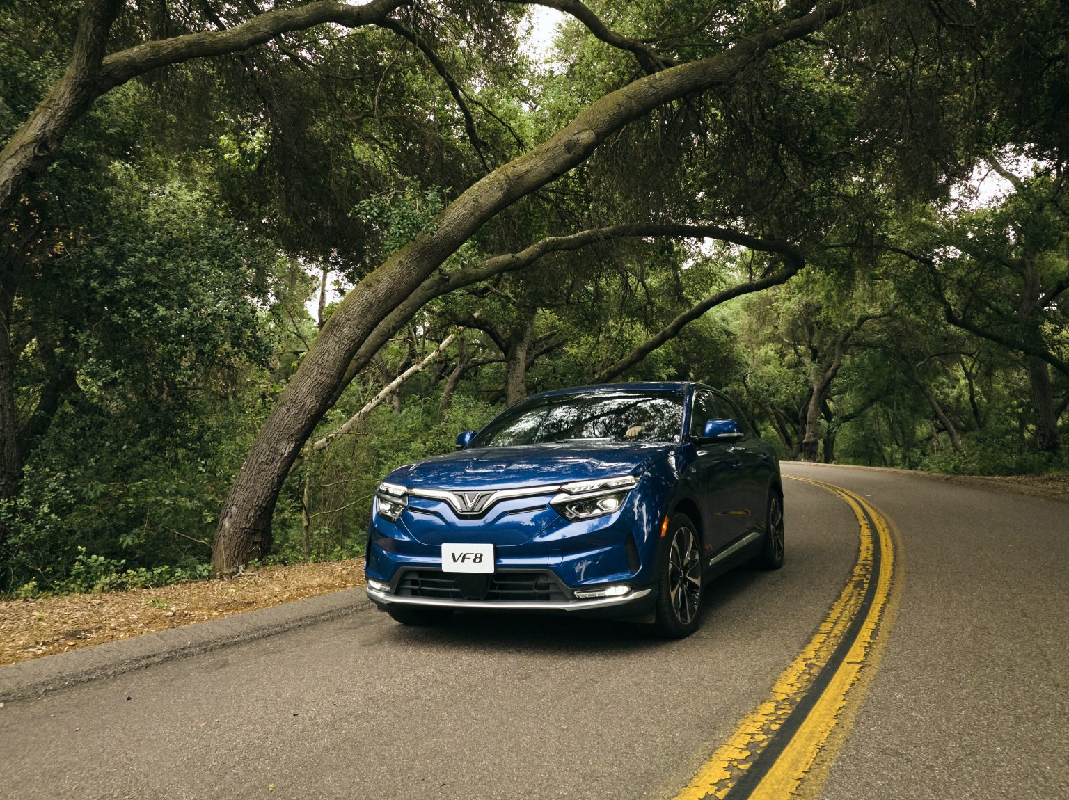 How does hot weather affect electric cars? VinFast Global Community