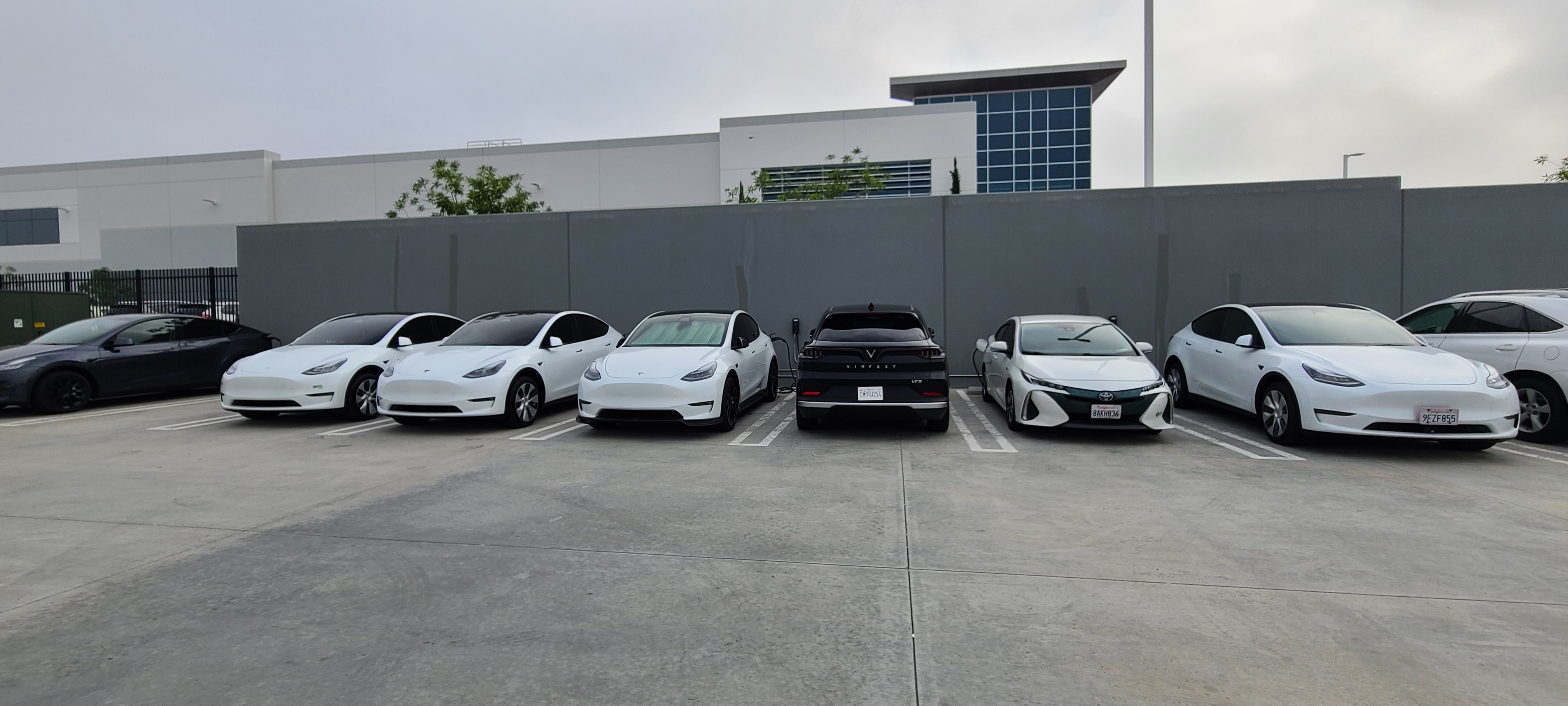 inbound3160704943424135079